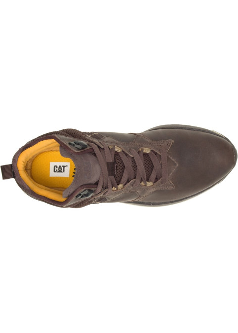 City rogue mid
